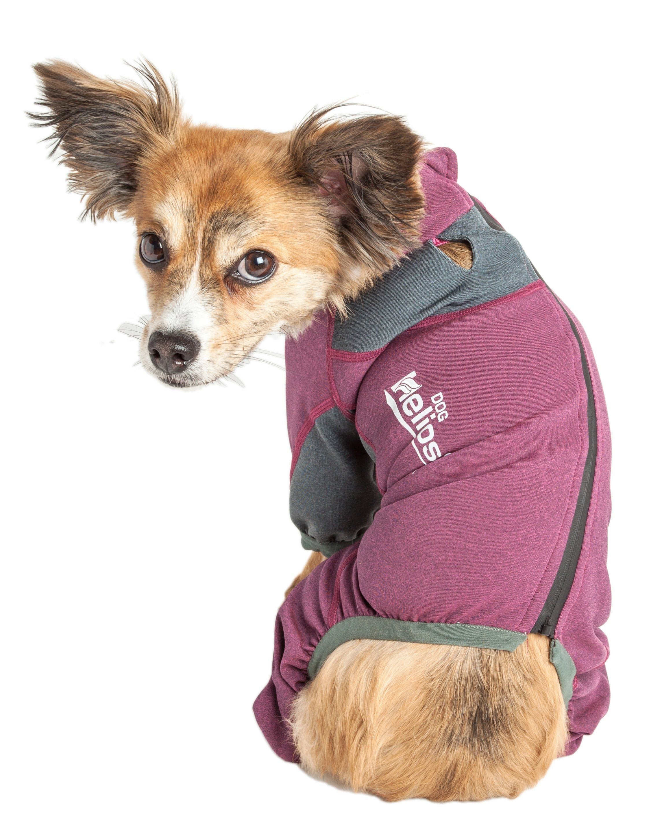Pet Life Dog Helios Rufflex mediumweight 4-way stretch breathable yoga dog tracksuit jacket, full-bodied warm-up apparel for dogs.