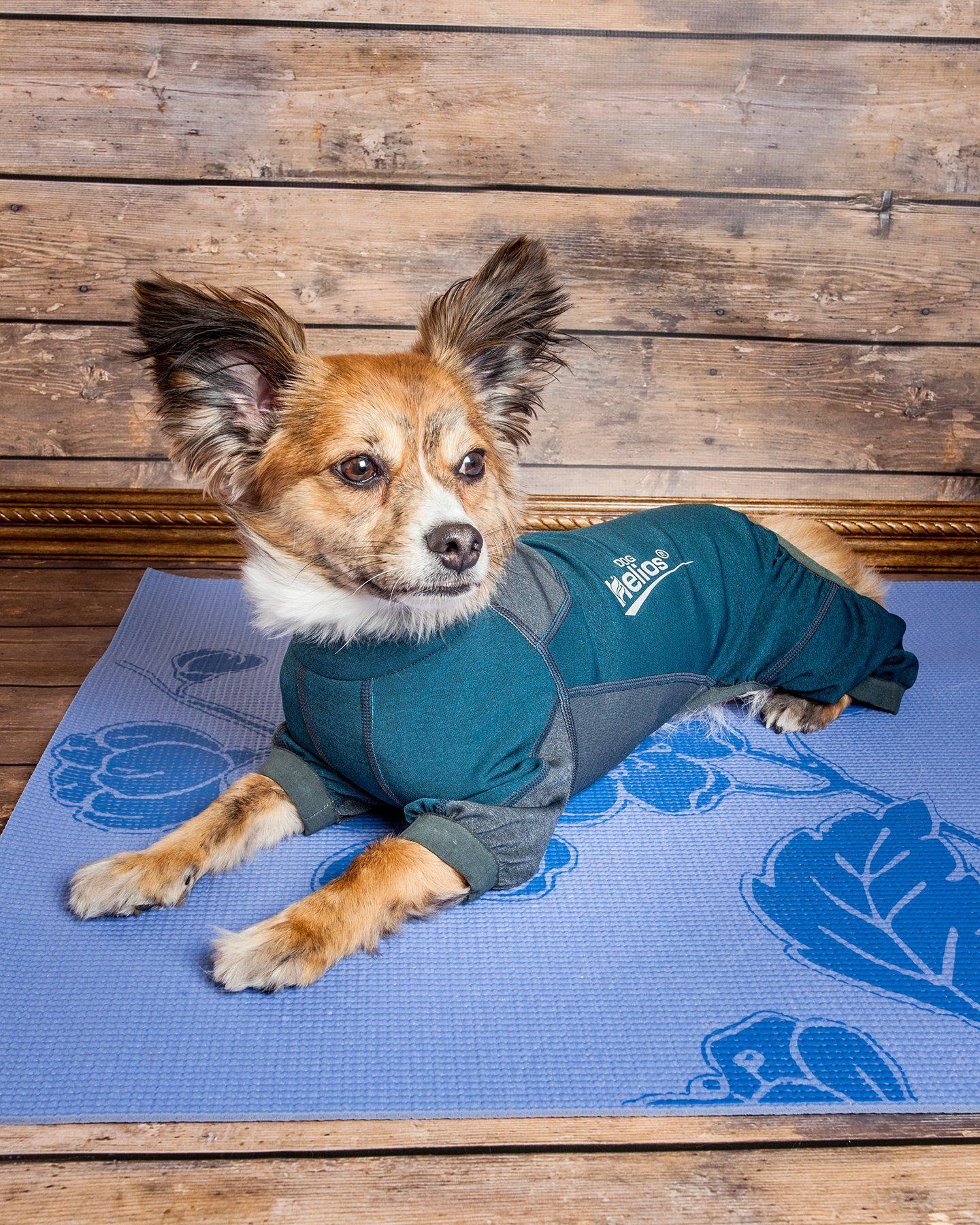 Dog Helios Rufflex mediumweight 4-way stretch yoga dog tracksuit jacket, breathable and full-bodied for warm-up or outdoor activities.