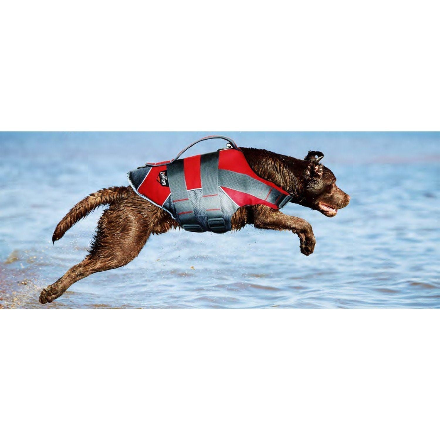 Dog Helios ® 'Splash-Explore' Reflective and Adjustable Floating Safety Dog Life Jacket - OVERLANDERS Outfitter