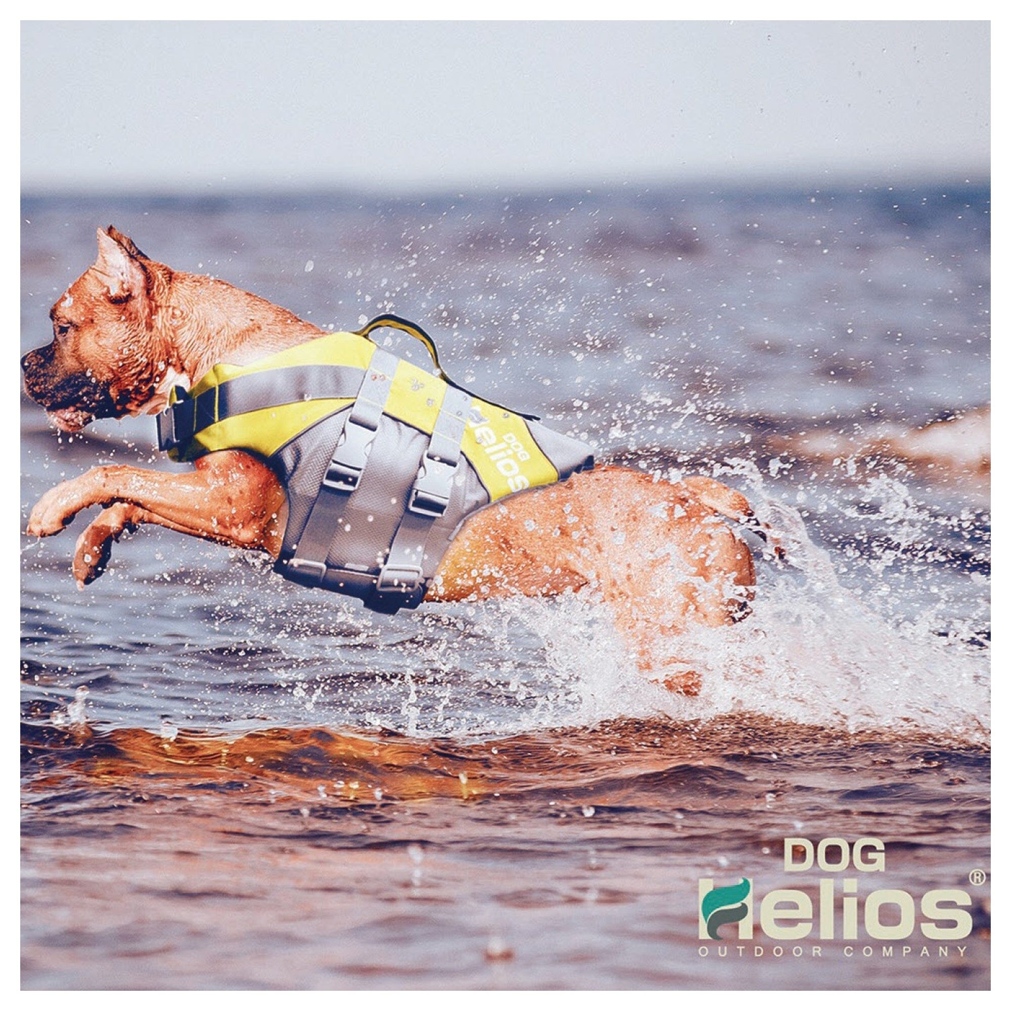 Dog Helios ® 'Splash-Explore' Reflective and Adjustable Floating Safety Dog Life Jacket - OVERLANDERS Outfitter