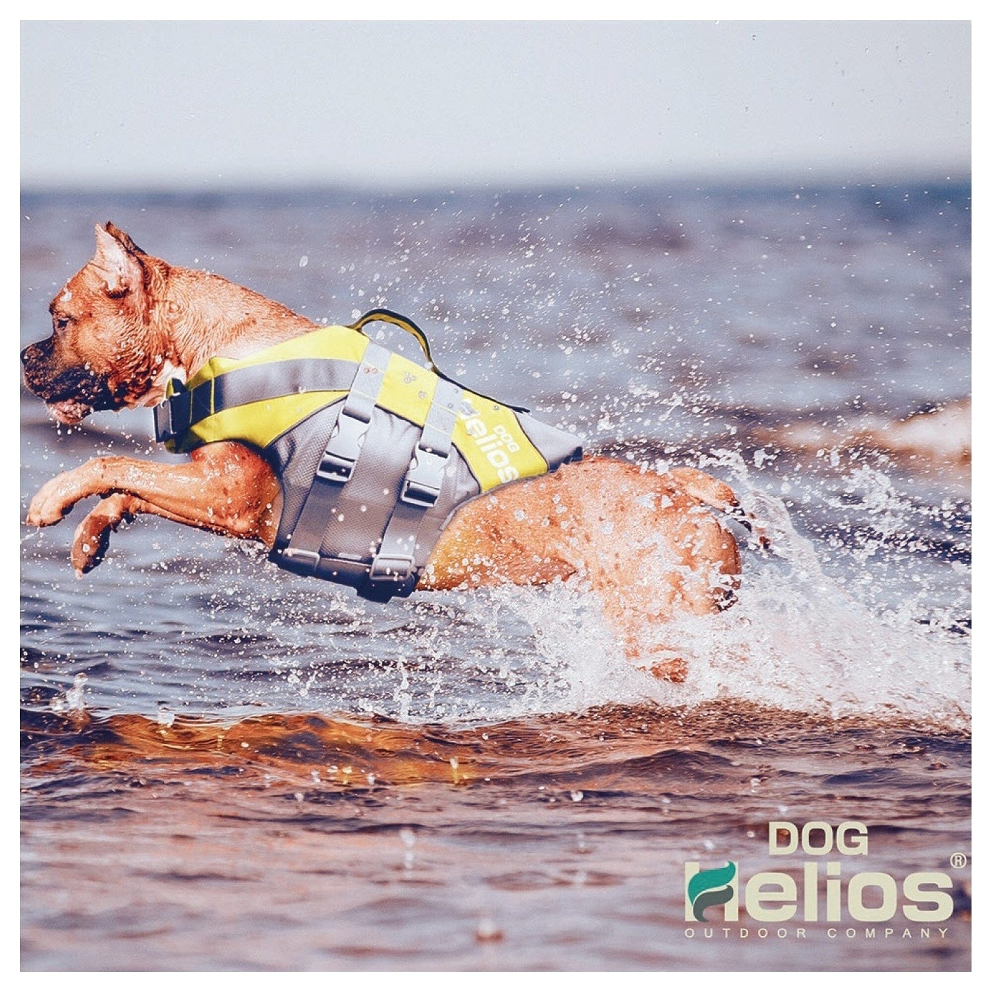 Dog Helios ® 'Splash-Explore' Reflective and Adjustable Floating Safety Dog Life Jacket - OVERLANDERS Outfitter