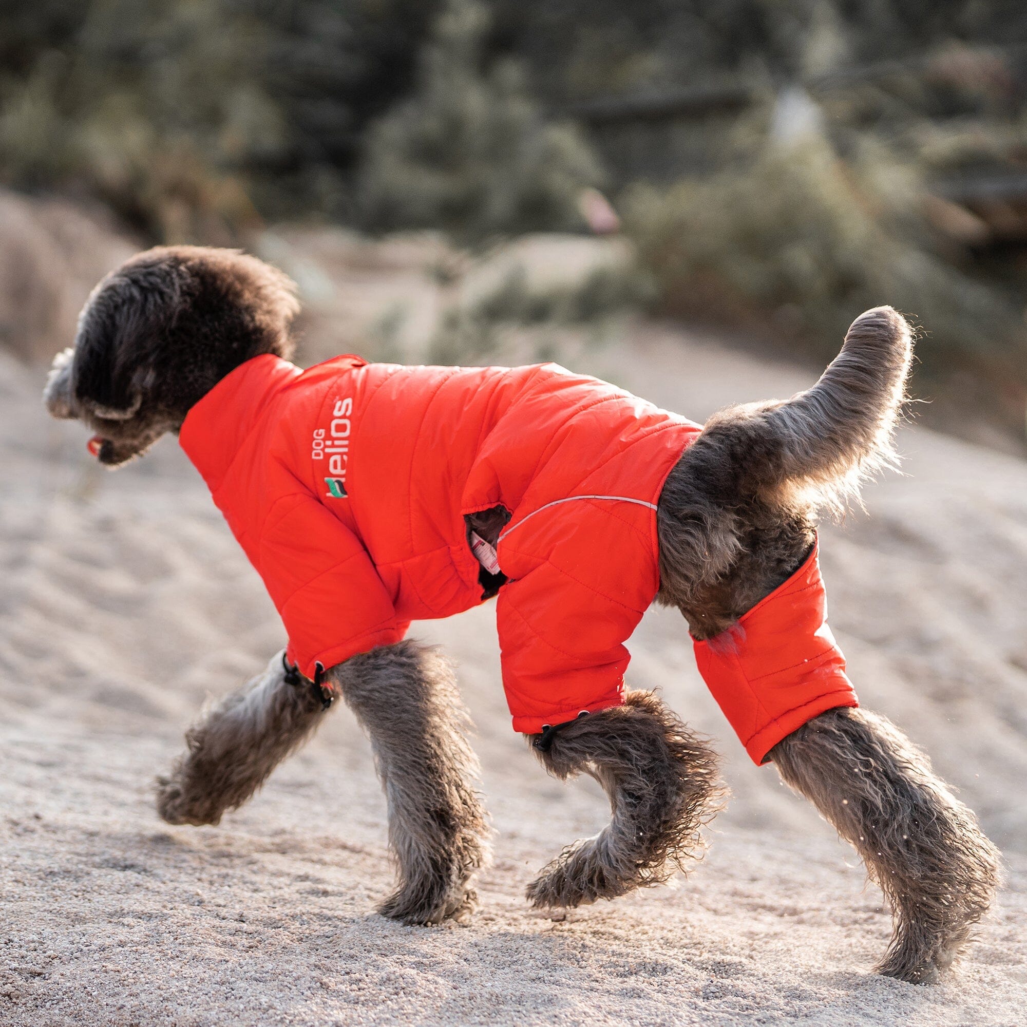 Dog Helios ® Thunder-crackle Adjustable and Reflective Full-Body Waded Winter Dog Jacket - OVERLANDERS Outfitter