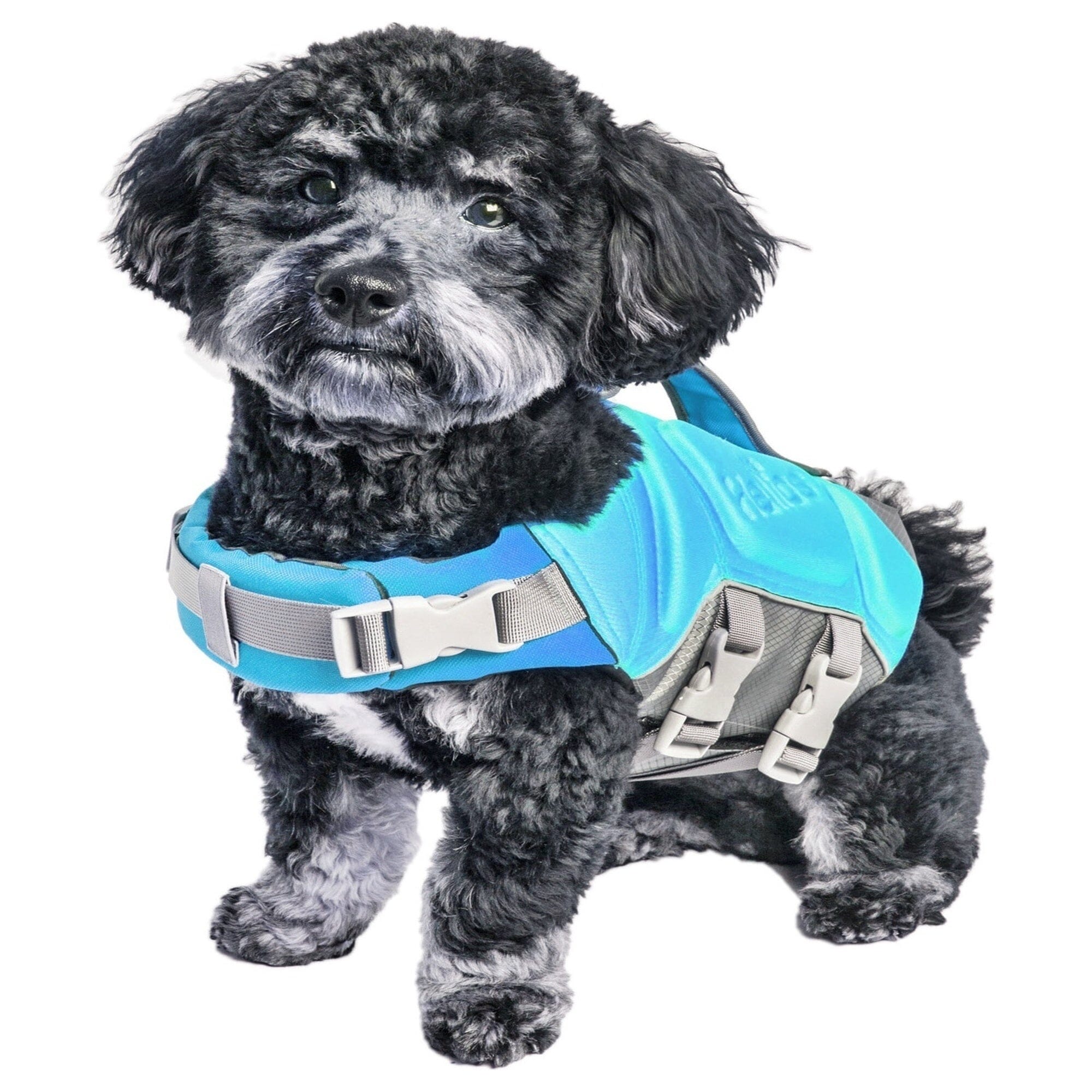 Dog Helios ® 'Tidal Guard' Multi-Point Strategically-Stitched Reflective Pet Dog Life Jacket Vest - OVERLANDERS Outfitter