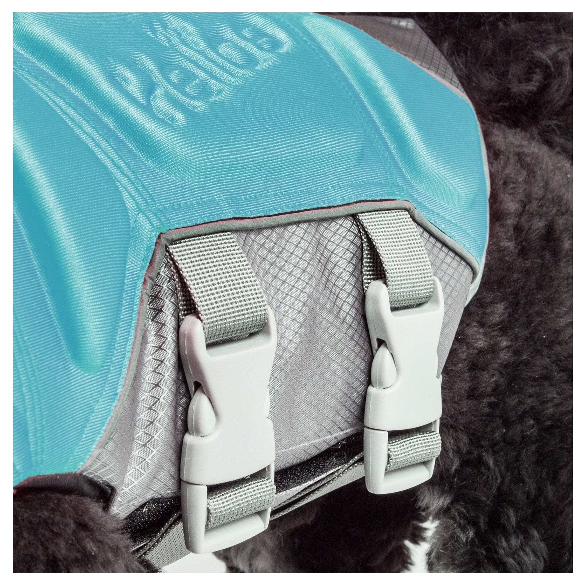 Dog Helios ® 'Tidal Guard' Multi-Point Strategically-Stitched Reflective Pet Dog Life Jacket Vest - OVERLANDERS Outfitter