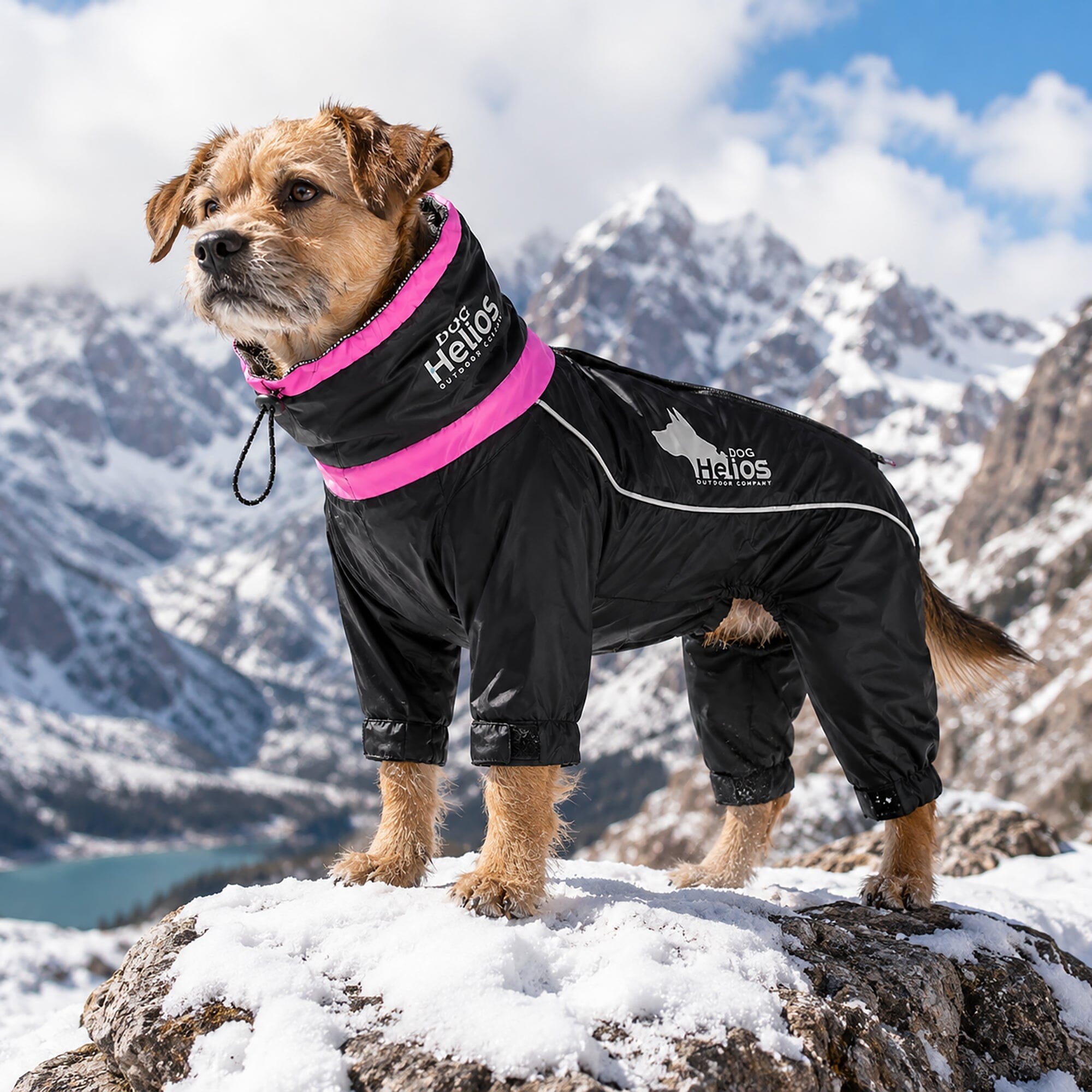 Dog Helios ® Weather-King Ultimate Windproof Full Body Winter Dog Jacket - OVERLANDERS Outfitter