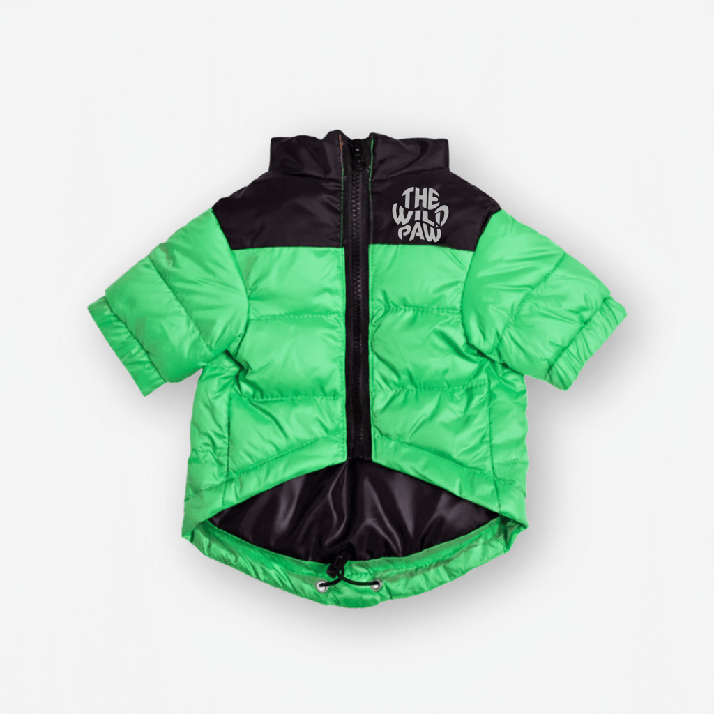 Green Highlander insulated puffer jacket for dogs by The Wild Paw, featuring an integrated logo and cozy winter insulation.