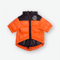 Dog wearing Highlander Insulated Puffer Jacket by The Wild Paw with integrated logo, designed for cold weather warmth and comfort.