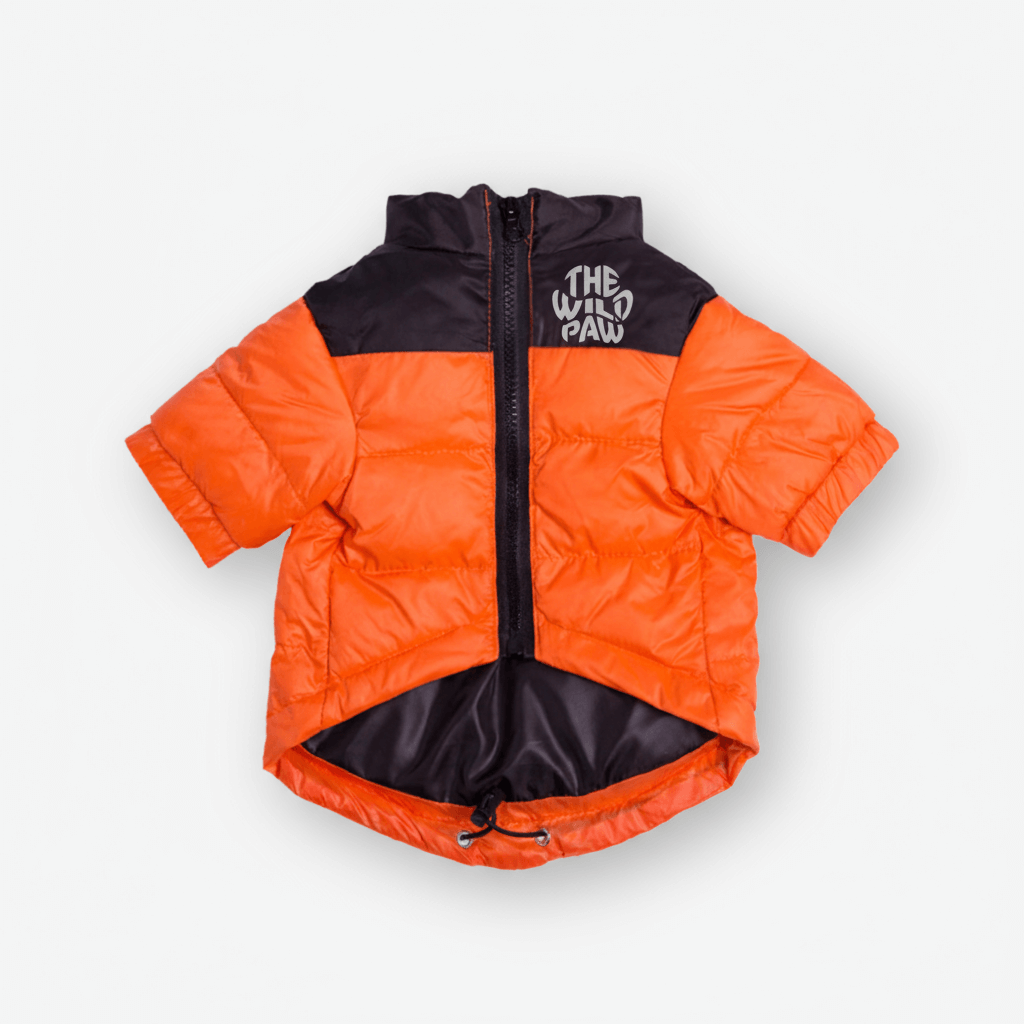 Dog wearing Highlander Insulated Puffer Jacket by The Wild Paw with integrated logo, designed for cold weather warmth and comfort.