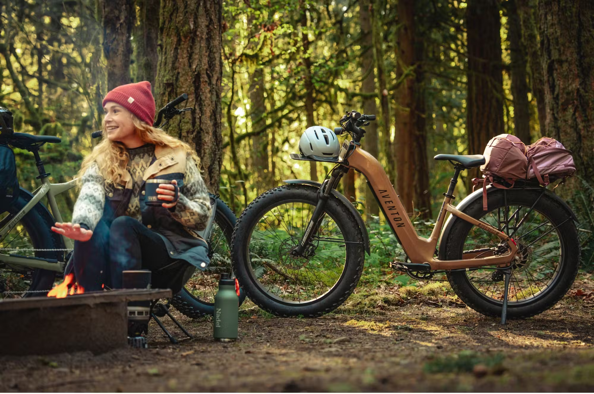 Rex E-Bikes Aventon Aventure.3 electric step-through e-bike with frame, handlebars, and motor visible in the image.