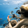 H1+ Smart Waterproof Phone Case - OVERLANDERS Outfitter