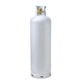 Flame King 100LB Multi-Valve Propane Tank High Capacity Filler - We The Collective