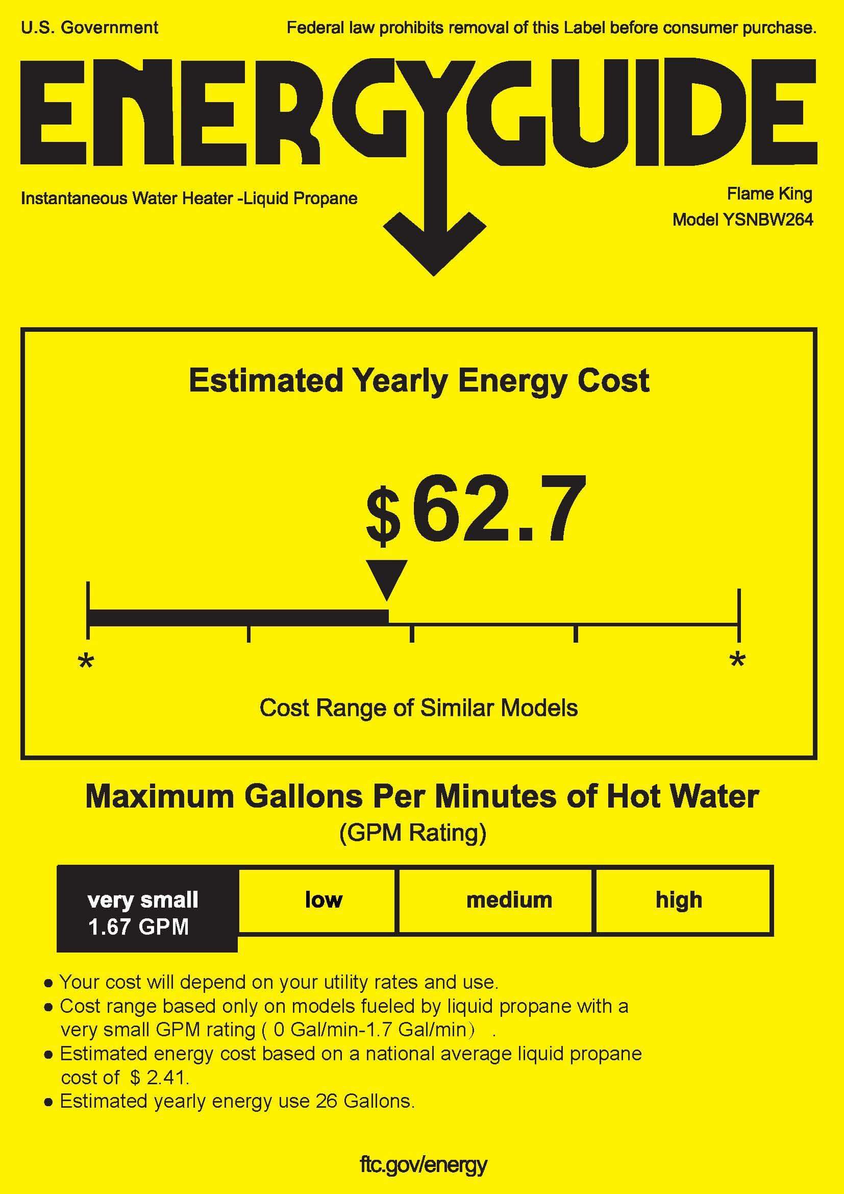 Flame King Tankless Outdoor Portable Camping Hot Shower Propane Gas 10L 2.64GPM Water Heater 68,000 BTU - We The Collective