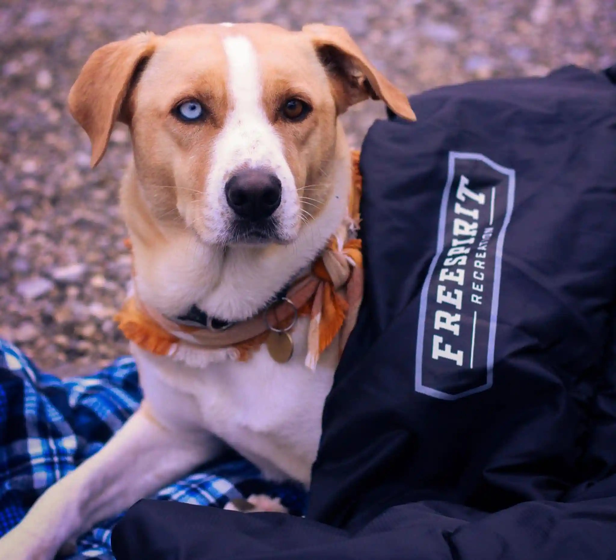 Freespirit Recreation sleeping bag in use inside a rooftop tent, showcasing camping bedding and outdoor sleeping gear.