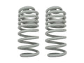 GoWesty Rear Coil Springs [4WD Syncro Vanagon]