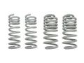 GoWesty coil spring bundle for 4WD Syncro Vanagon, set of four suspension springs with a clean, metallic finish.