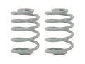 GoWesty Rear Coil Springs [2WD Vanagon]