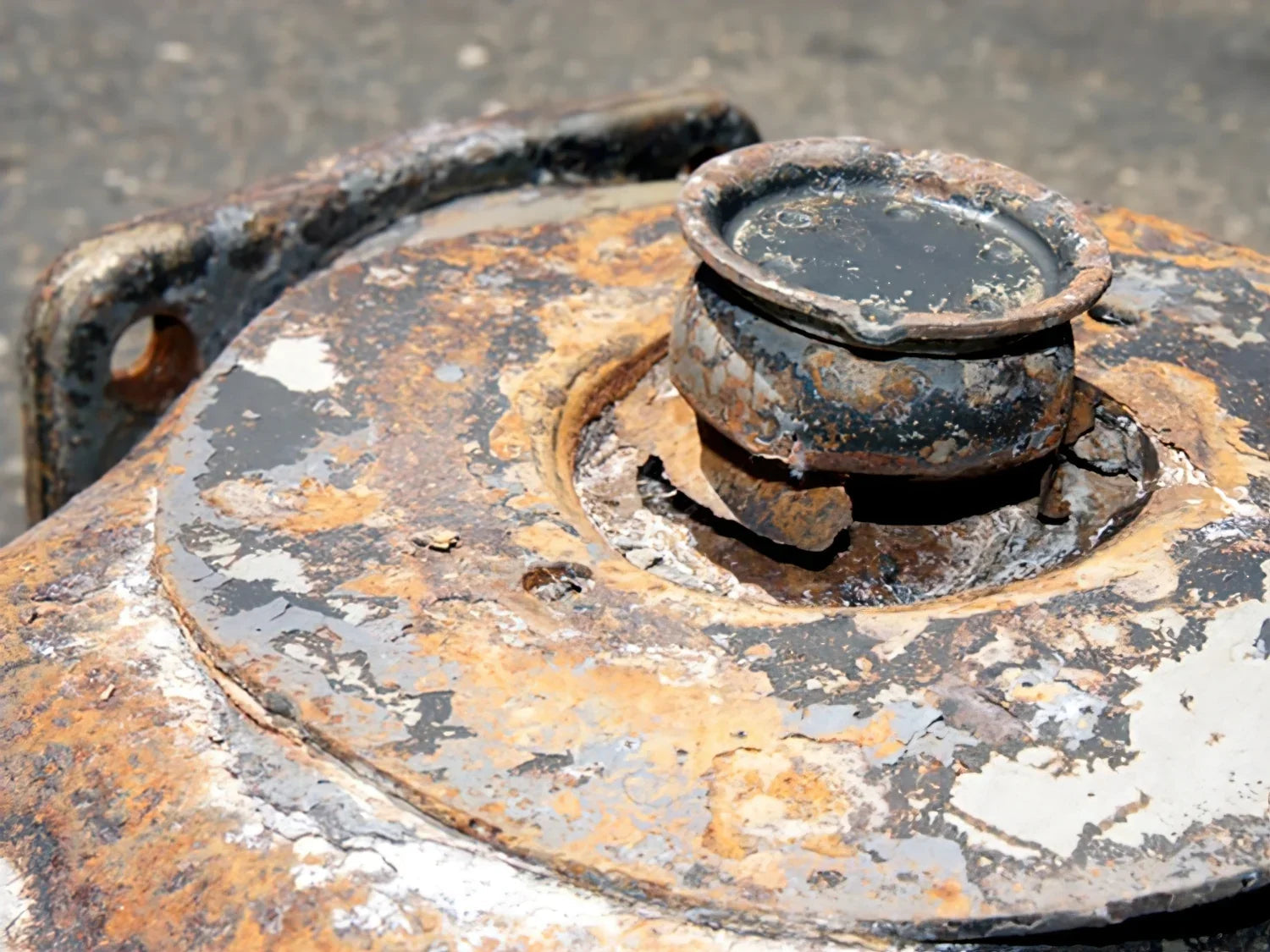 Spring Plate for Trailing Arm [Vanagon]
