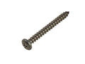 GoWesty screw used for turn signal and tail light lens on Bus and Vanagon vehicles, shown in the image.