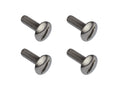 Luggage Rack & Pop-Top Hinge Screw Set [Vanagon]