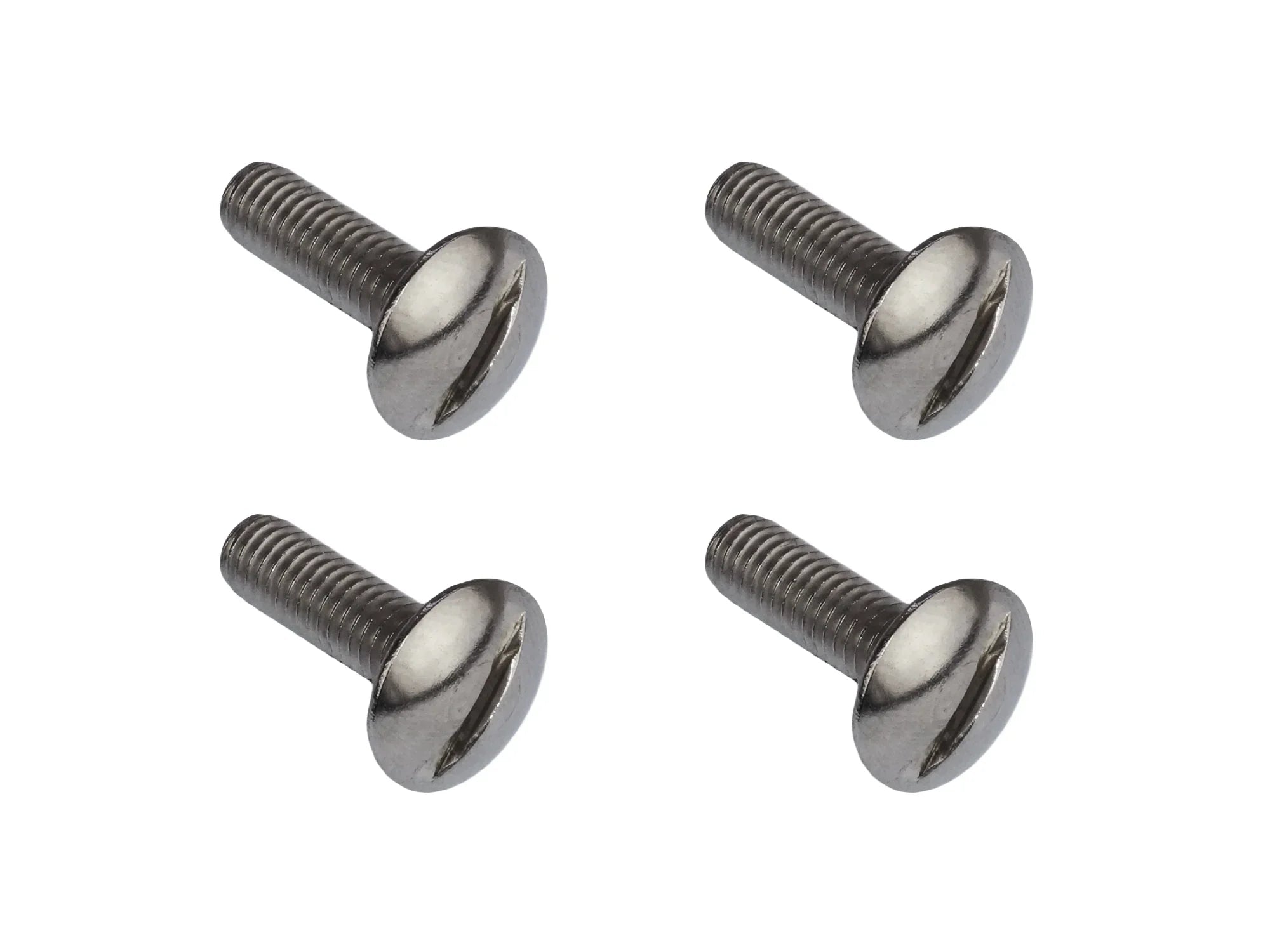 Luggage Rack & Pop-Top Hinge Screw Set [Vanagon]