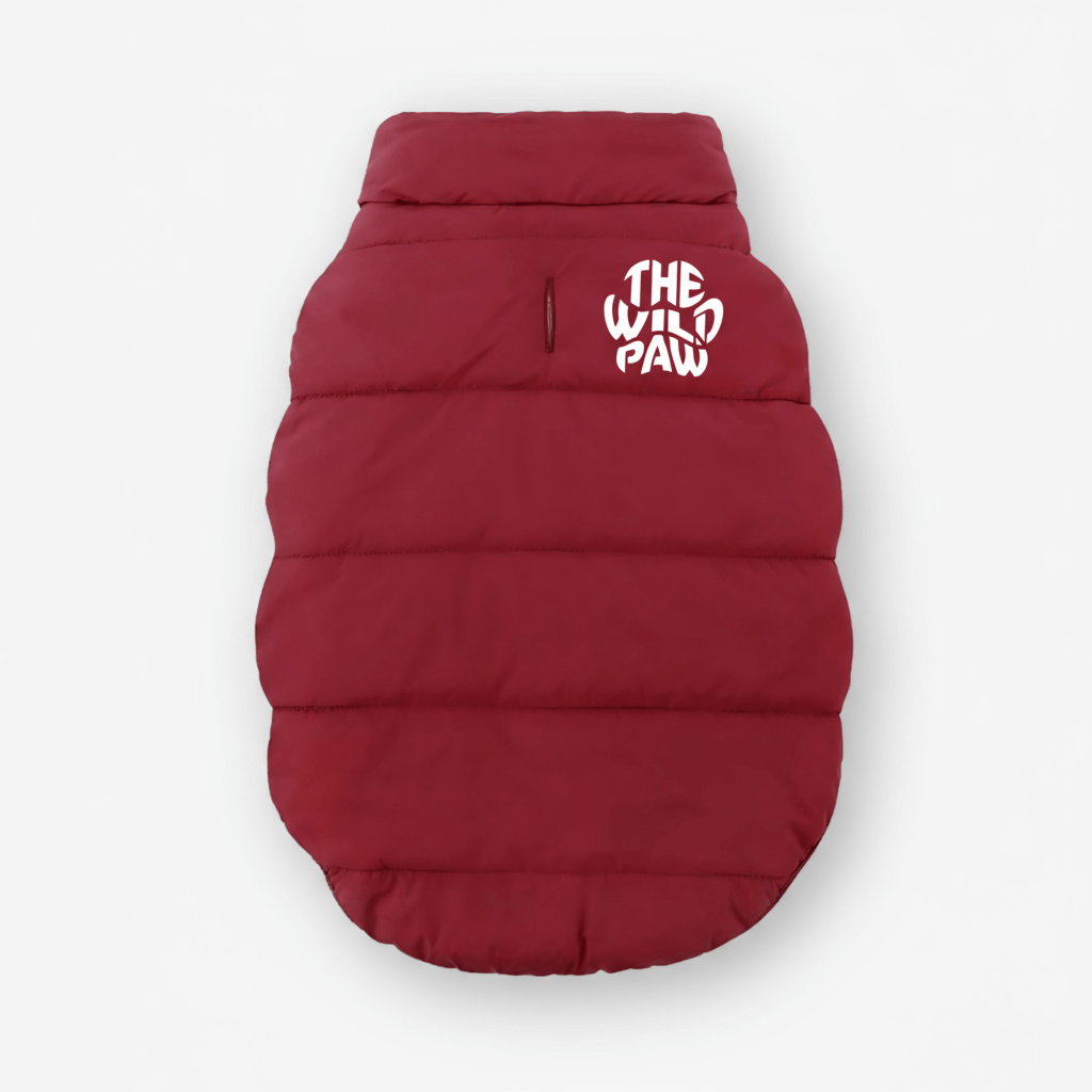 Maroon Furline Coat by The Wild Paw featuring a plush fur-lined collar and stylish design for warmth and fashion.