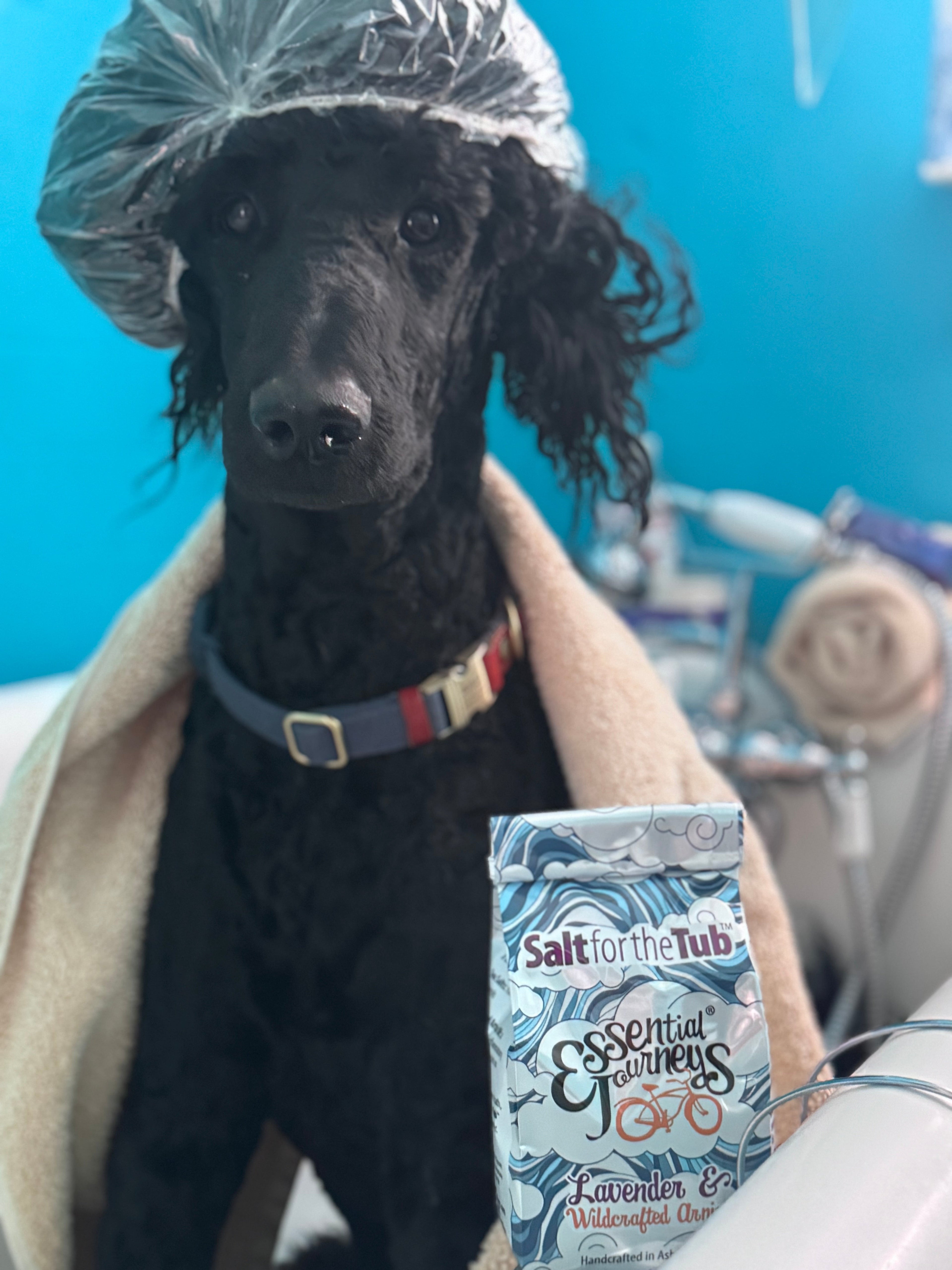 Lavender and arnica bath salts in a tub, natural botanical salts for relaxing bath by Essential Journeys.