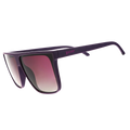 Rare Air Discs Keeping A High Profile Fly G Premium Sunglasses with sleek black frame and tinted lenses.