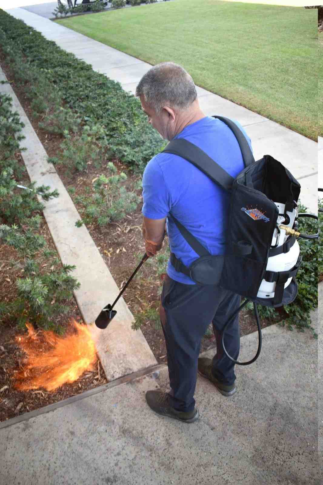 Flame King Propane Tank Backpack Carrier for 5lb or 10lb Cylinder For Weed Burner Torch - We The Collective