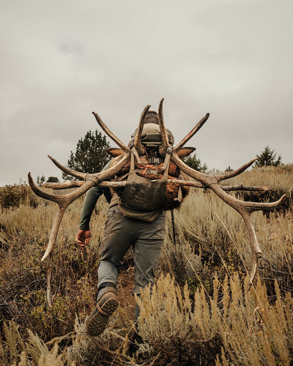 Eberlestock Just One Pack: Secure Rifle Carry Meets Massive Load Hauling - OVERLANDERS Outfitter