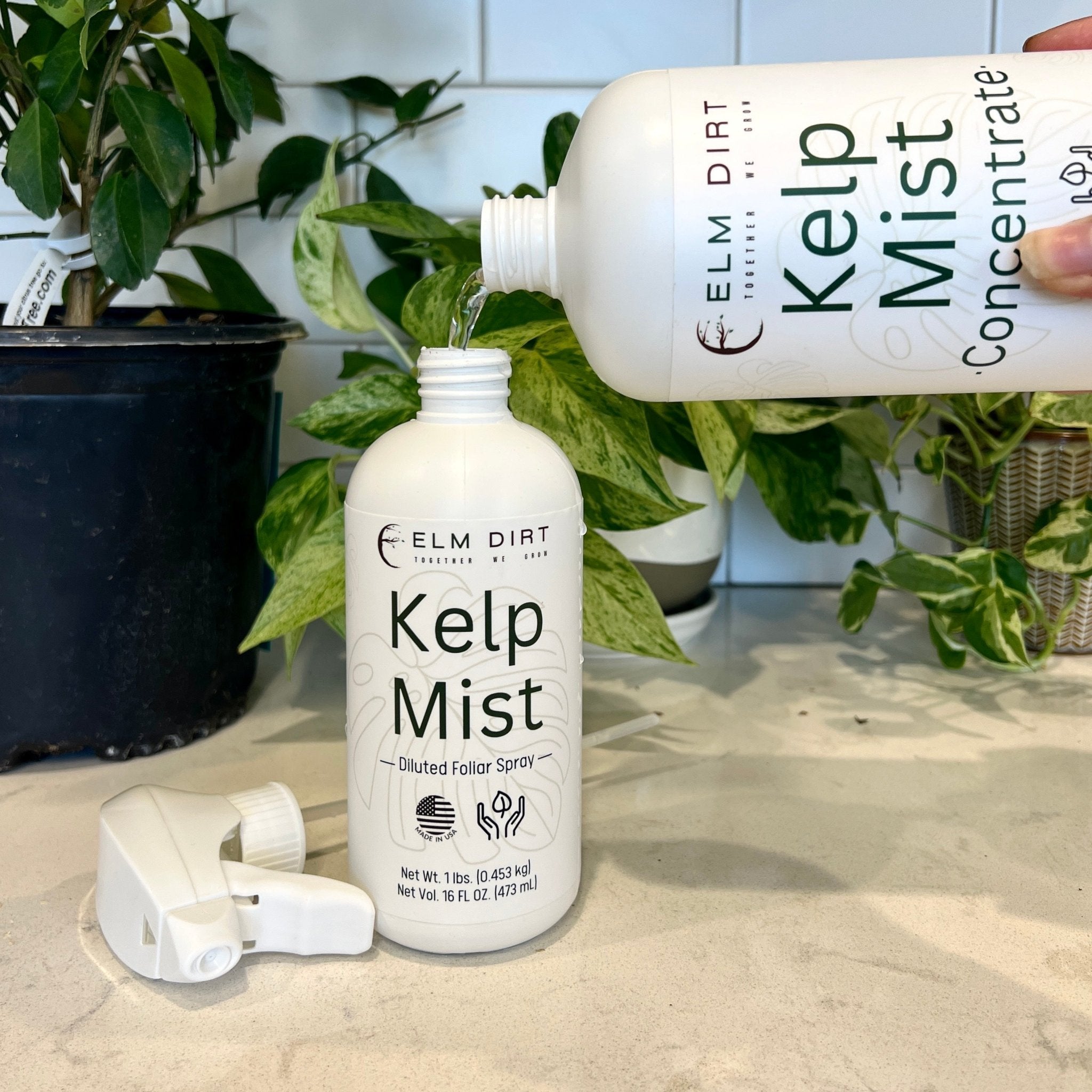 Kelp Mist Foliar Spray - OVERLANDERS Outfitter