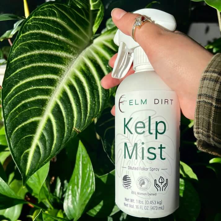 Kelp Mist Foliar Spray - OVERLANDERS Outfitter