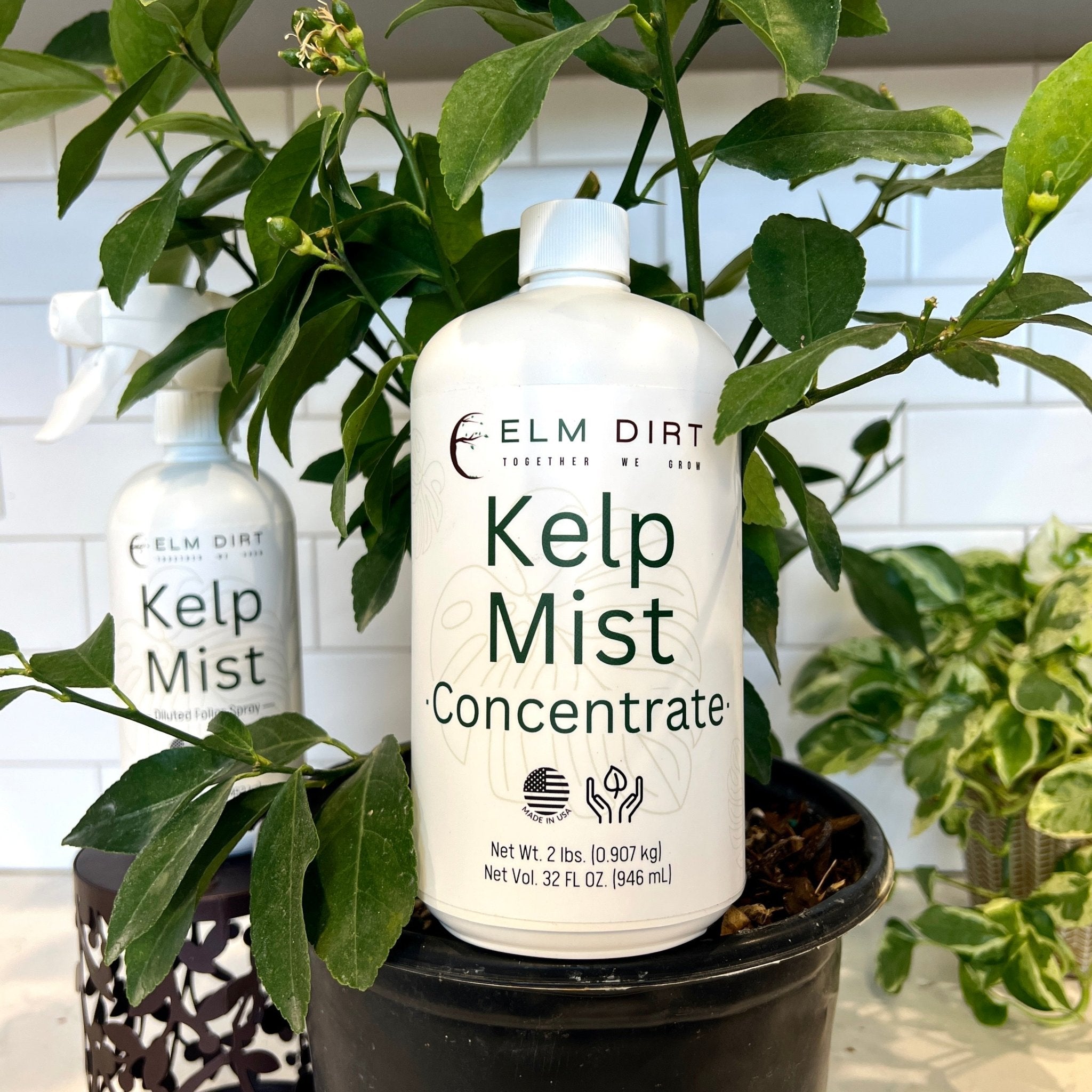 Kelp Mist Foliar Spray - OVERLANDERS Outfitter