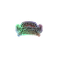 Desert Vulture Holographic Sticker - OVERLANDERS Outfitter