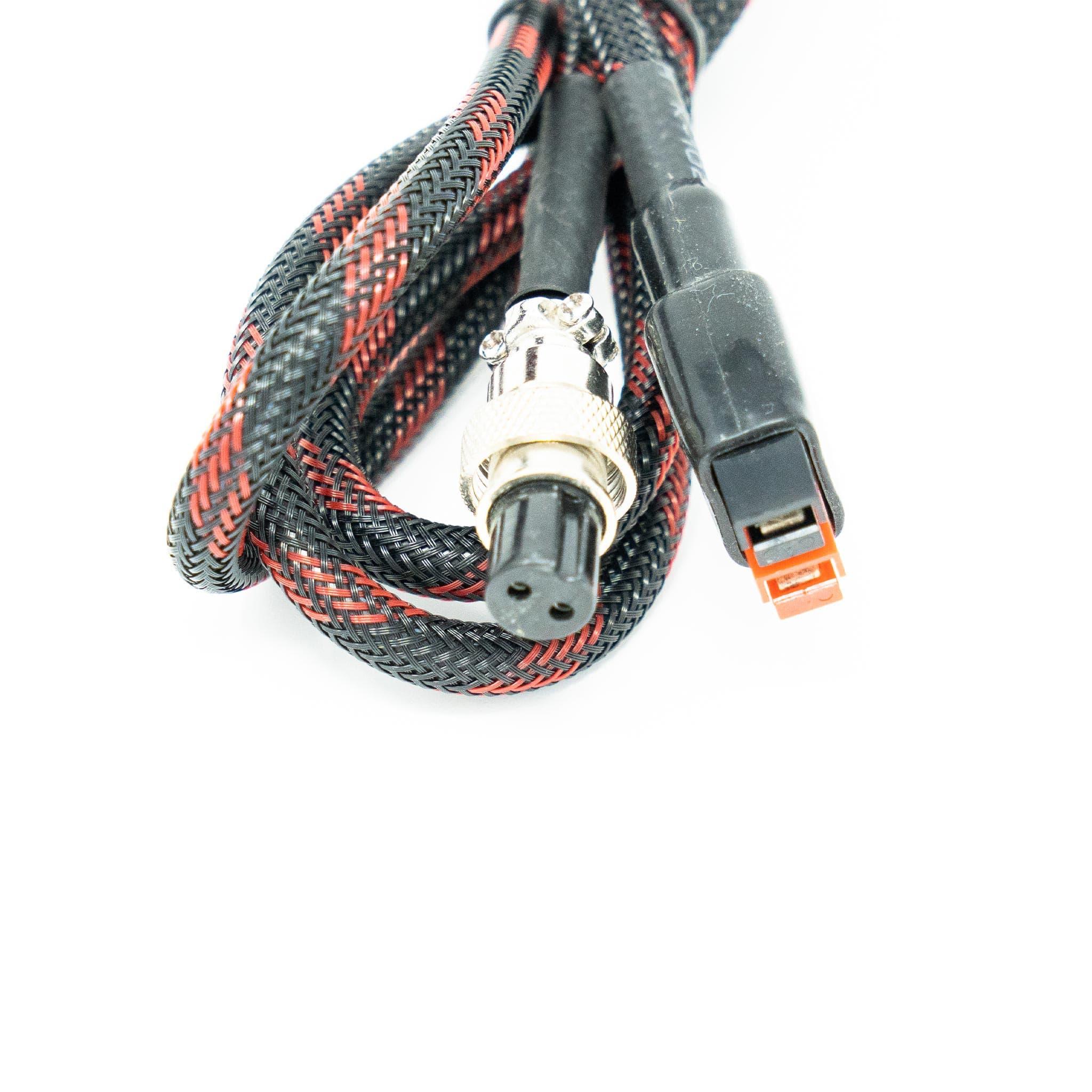 Lion Energy Generator Hand Crank - We The Collective