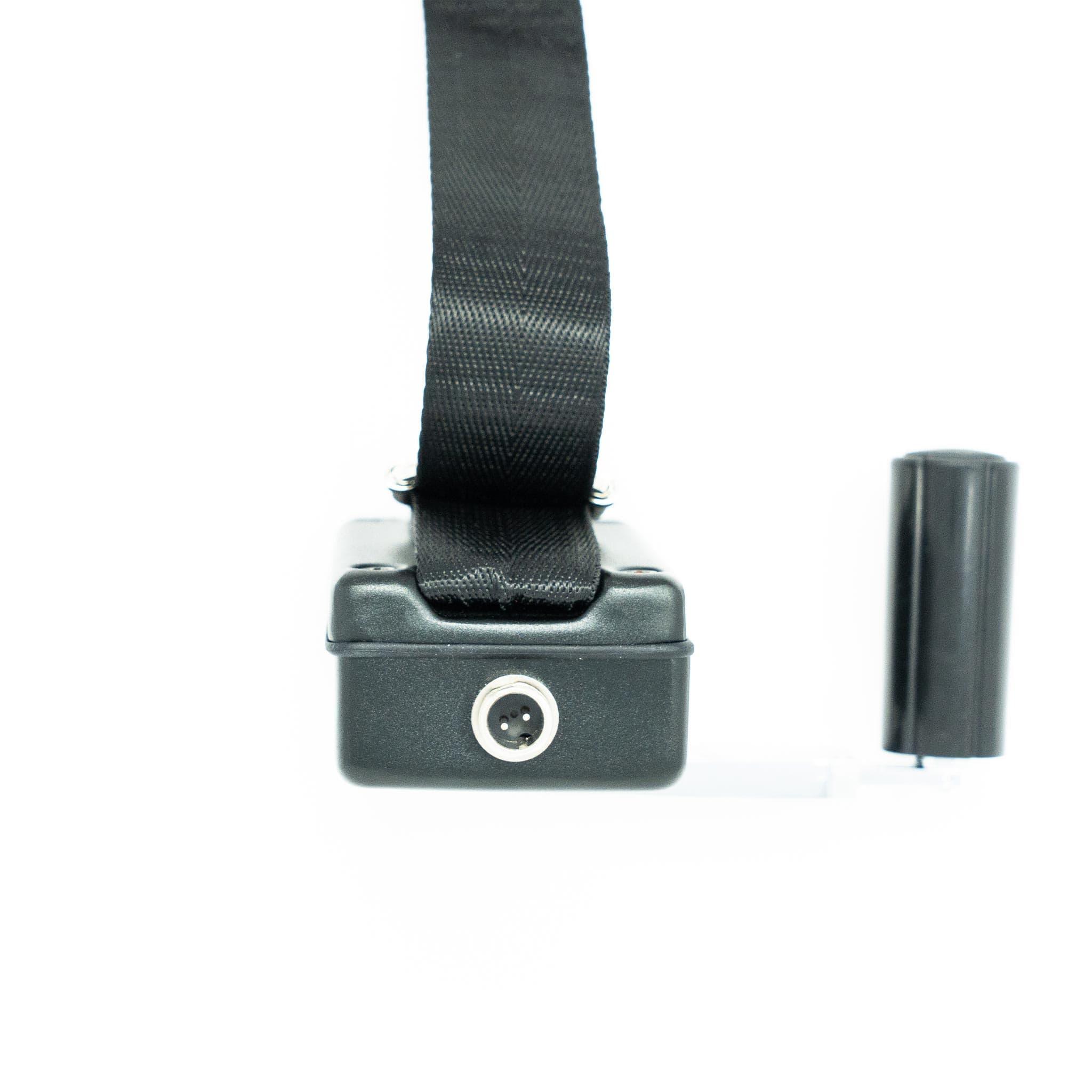 Lion Energy Generator Hand Crank - We The Collective