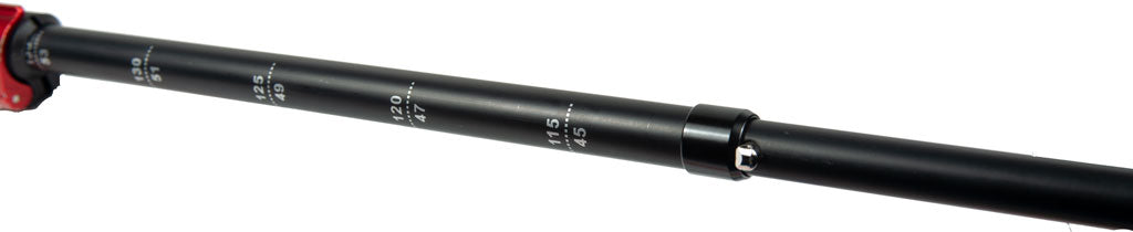 Backcountry Sportsman Tiger Paw Z Trekking Poles with ergonomic grips and adjustable shafts for hiking comfort.