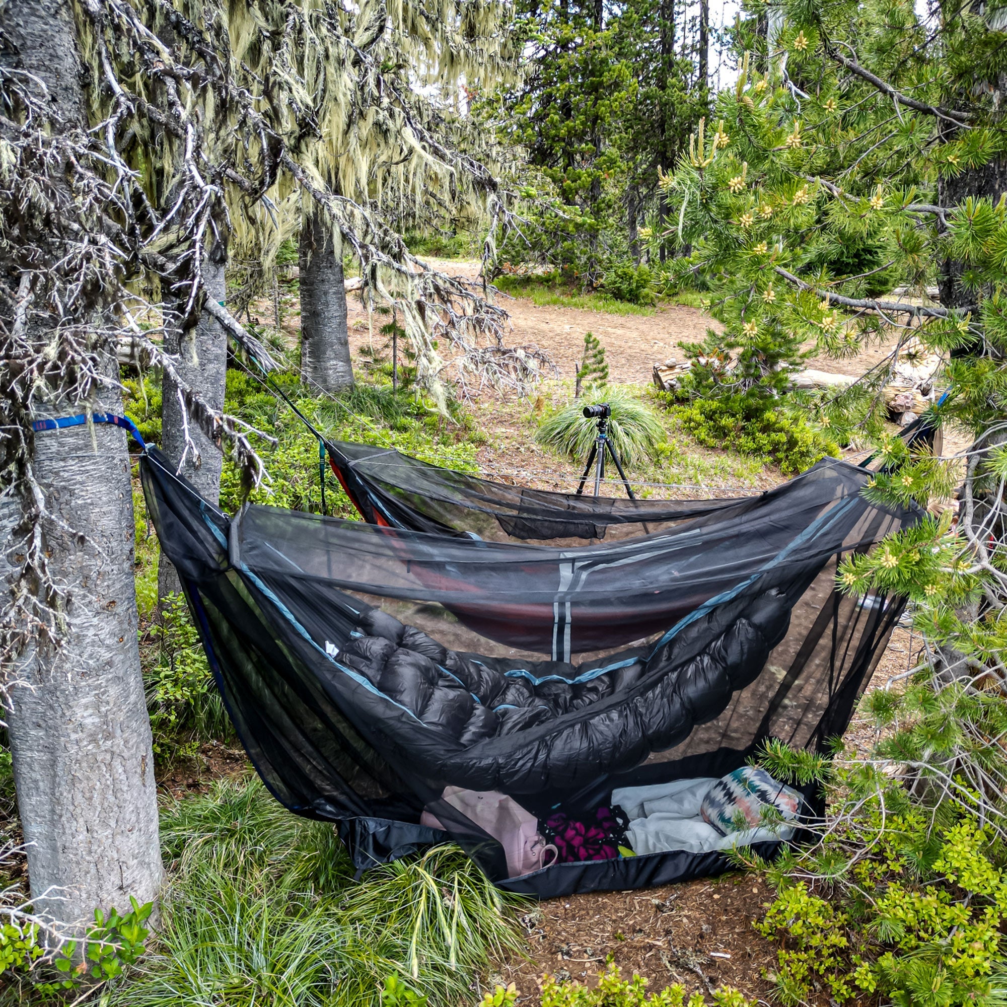 MOZZY 360 Hammock Bug Net Shelter - We The Collective