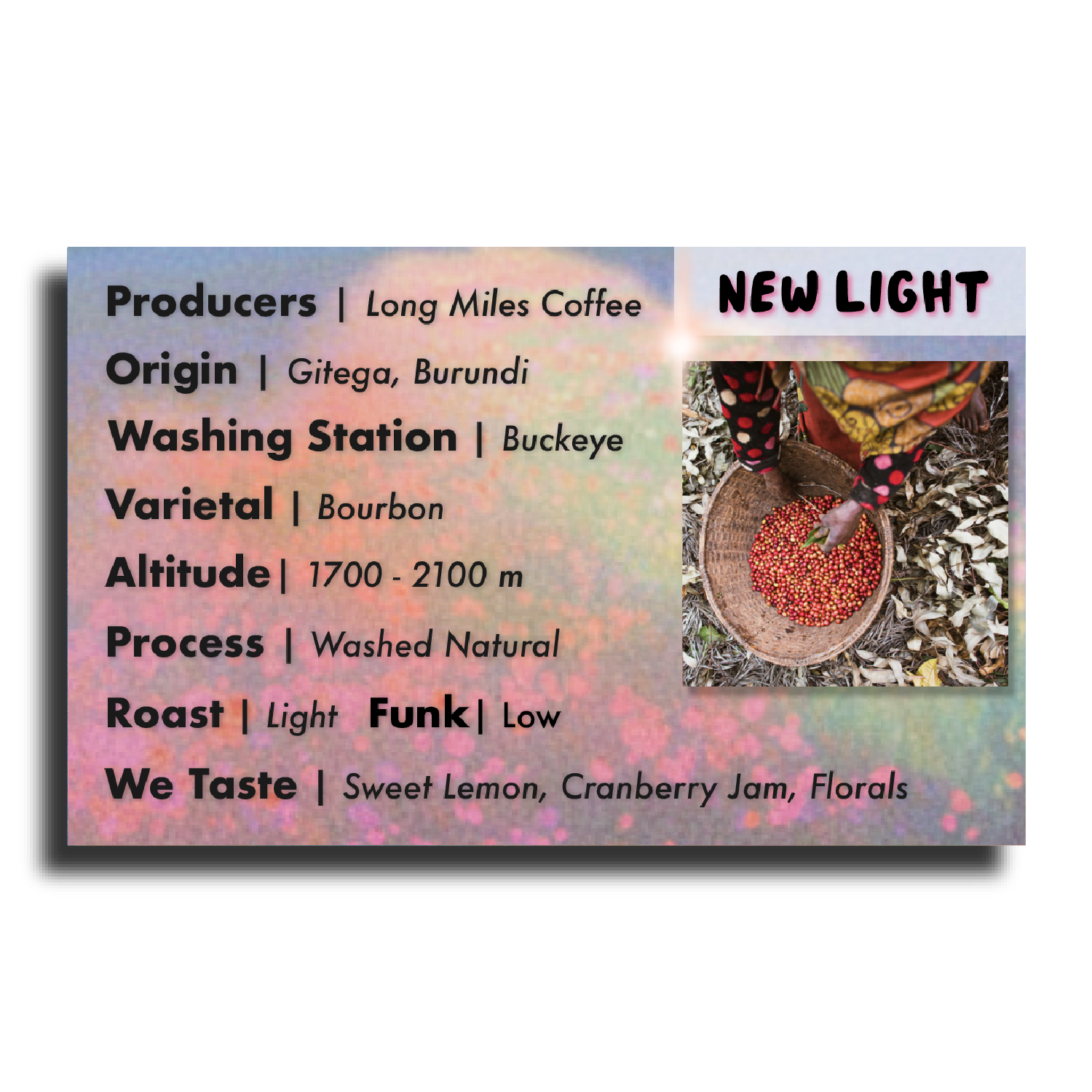 New Light - We The Collective