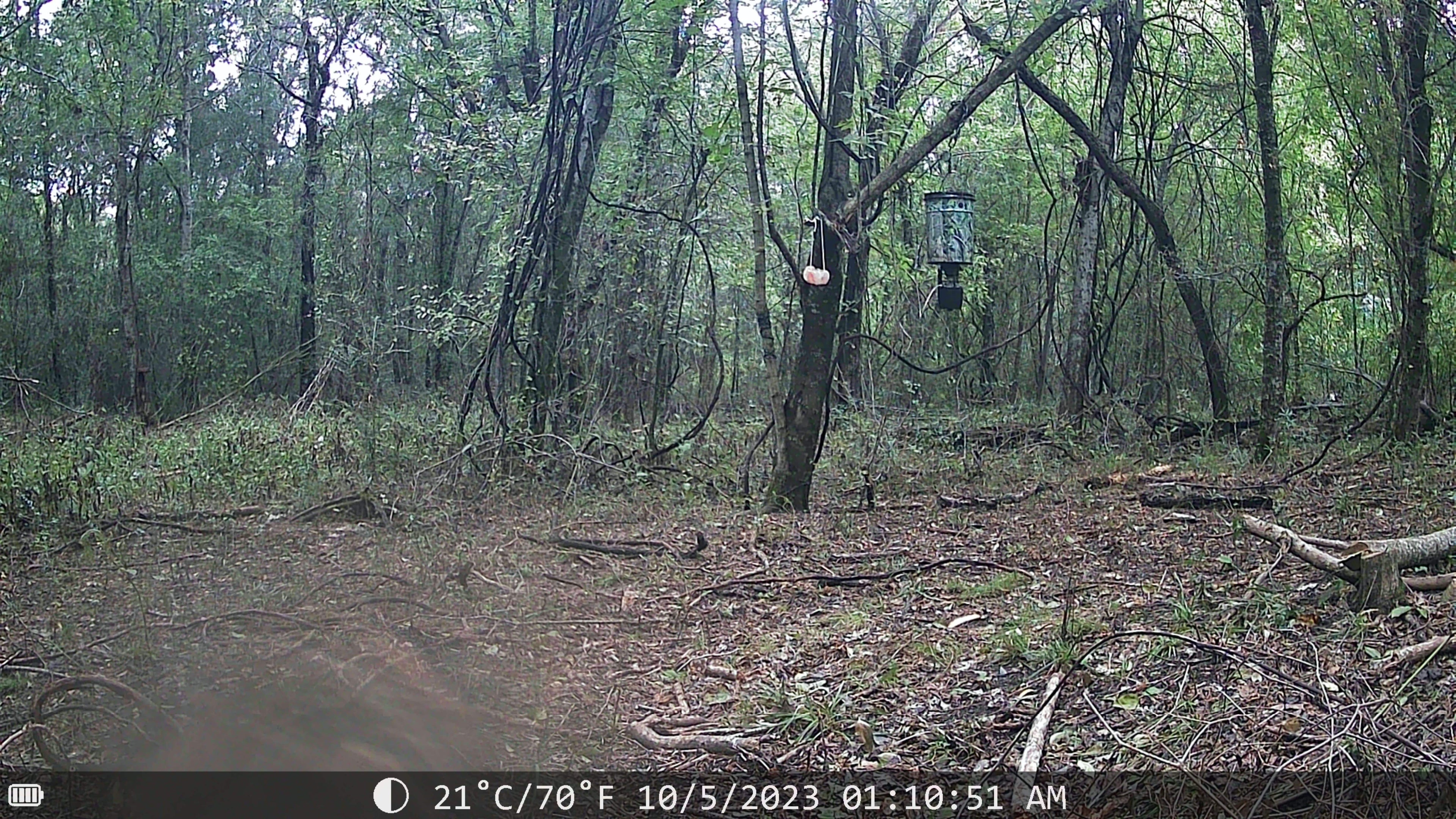 SFT2 Tactical Sentinel Night Vision Trail Camera outdoors with night-vision lens and rugged design for wildlife monitoring.