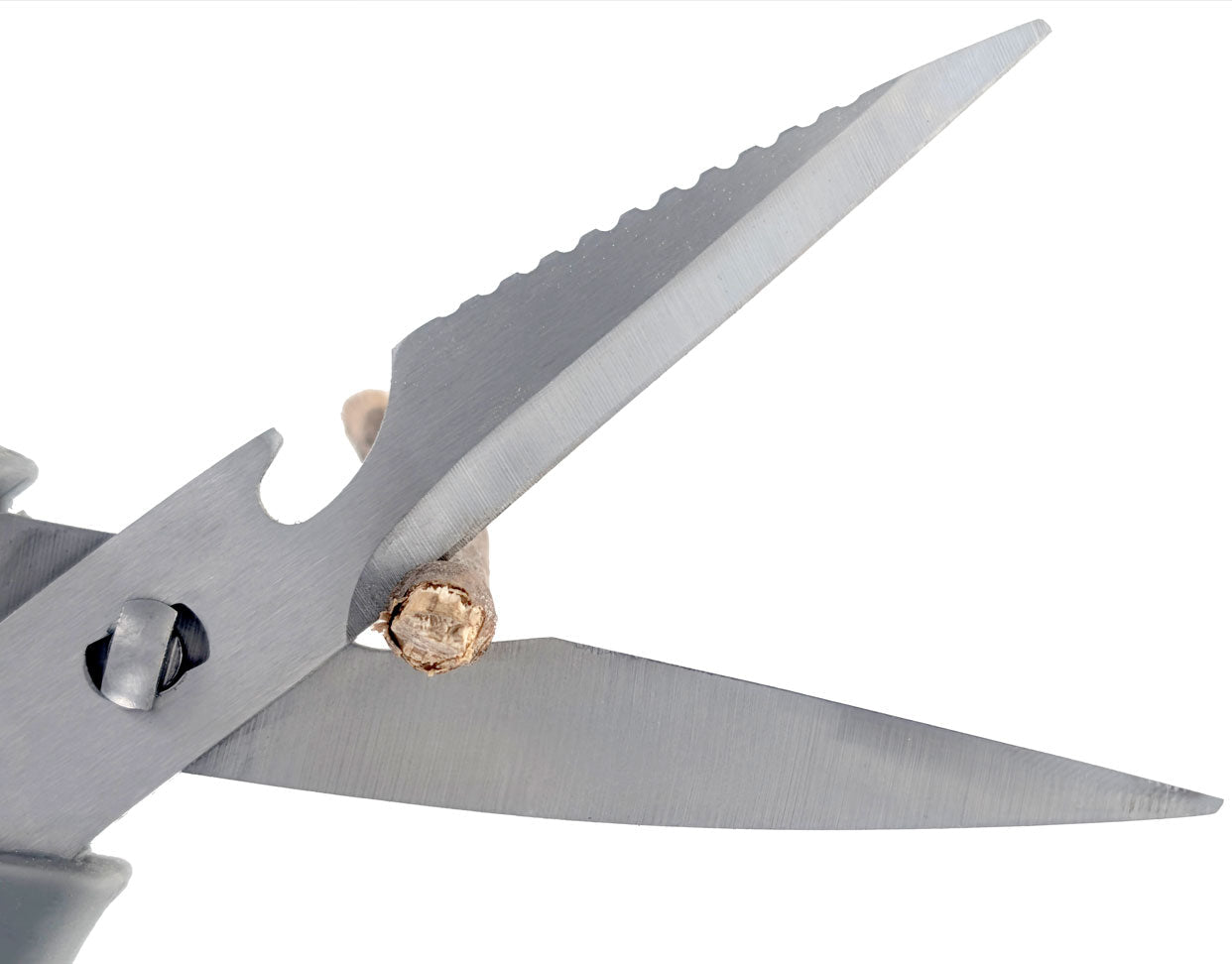 Onethiefsurplus 8-inch stainless steel kitchen scissors designed for camping and hiking, durable and sharp for outdoor use.