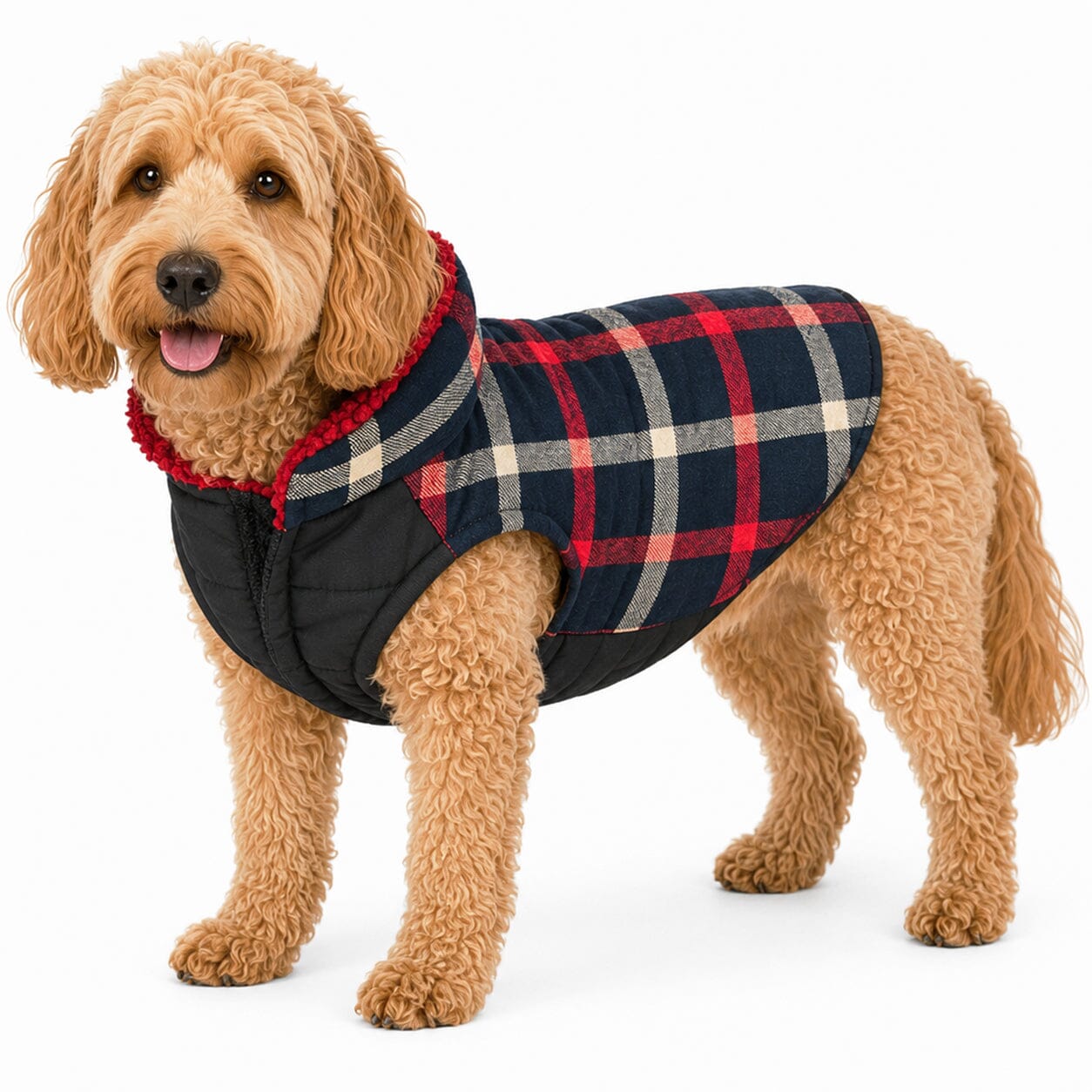 Pet Life ®  'Allegiance' Classical Insulated Plaid Fashion Dog Jacket - OVERLANDERS Outfitter