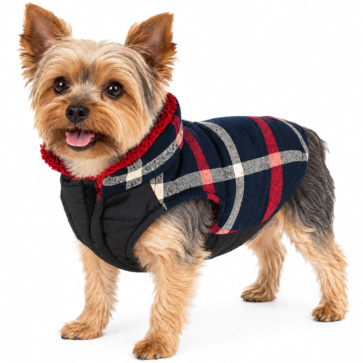 Pet Life ®  'Allegiance' Classical Insulated Plaid Fashion Dog Jacket - OVERLANDERS Outfitter