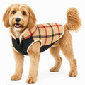 Pet Life ®  'Allegiance' Classical Insulated Plaid Fashion Dog Jacket - OVERLANDERS Outfitter