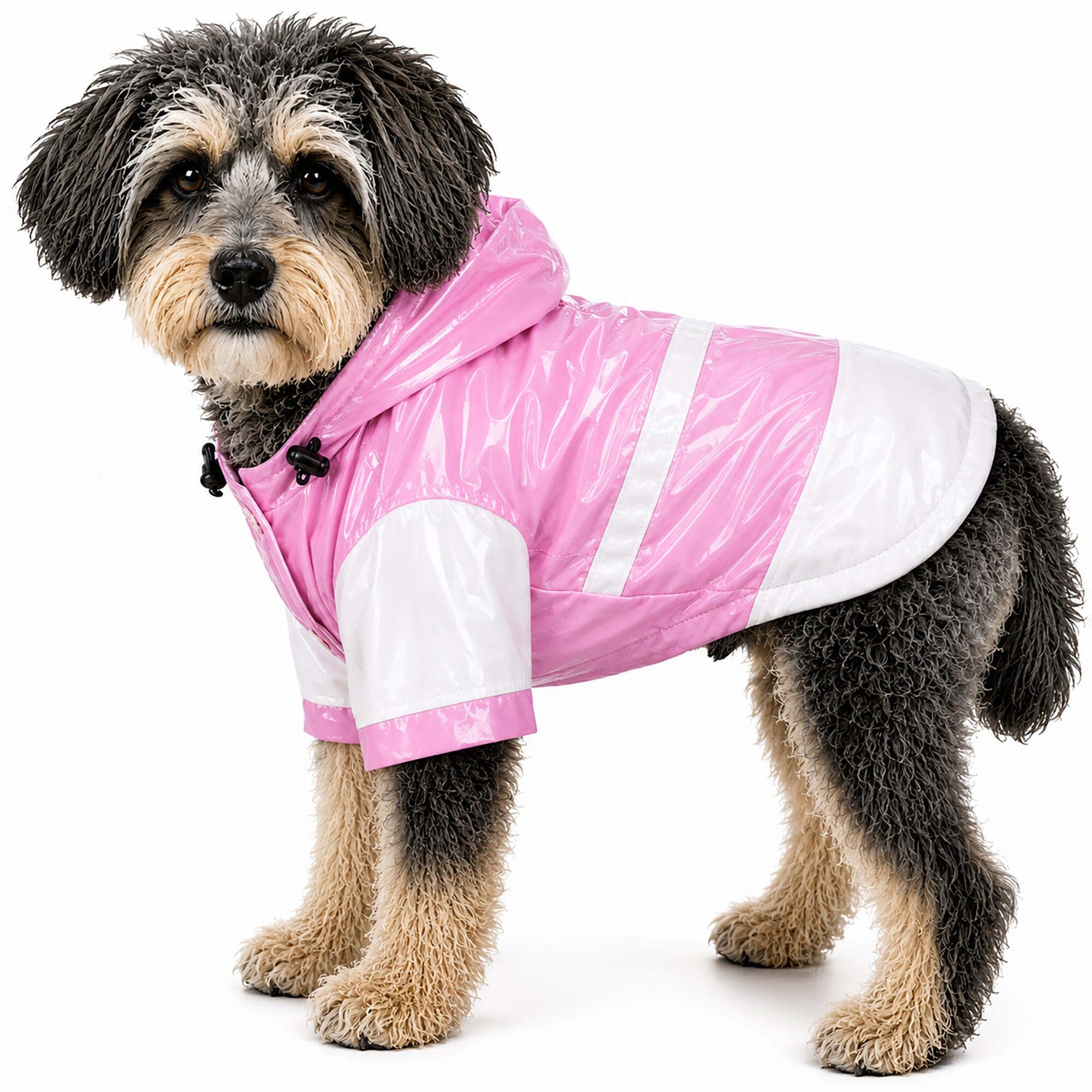 Pet Life ® 'Two-Tone' Waterproof Adjustable Dog Raincoat Jacket w/ Removable Hood - OVERLANDERS Outfitter