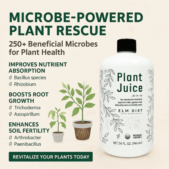 Plant Juice