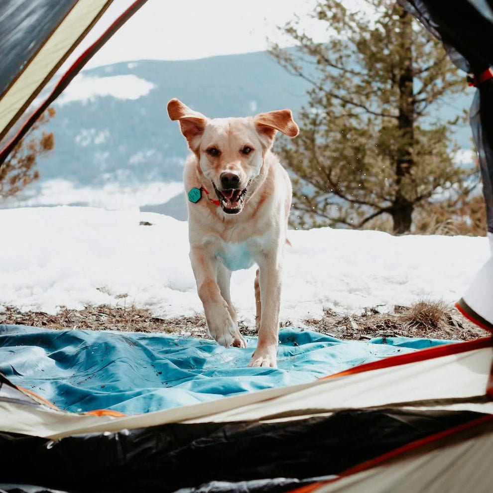 Rumpl Everywhere Mat - OVERLANDERS Outfitter