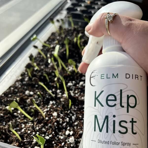 Seed Starting Bundle - OVERLANDERS Outfitter