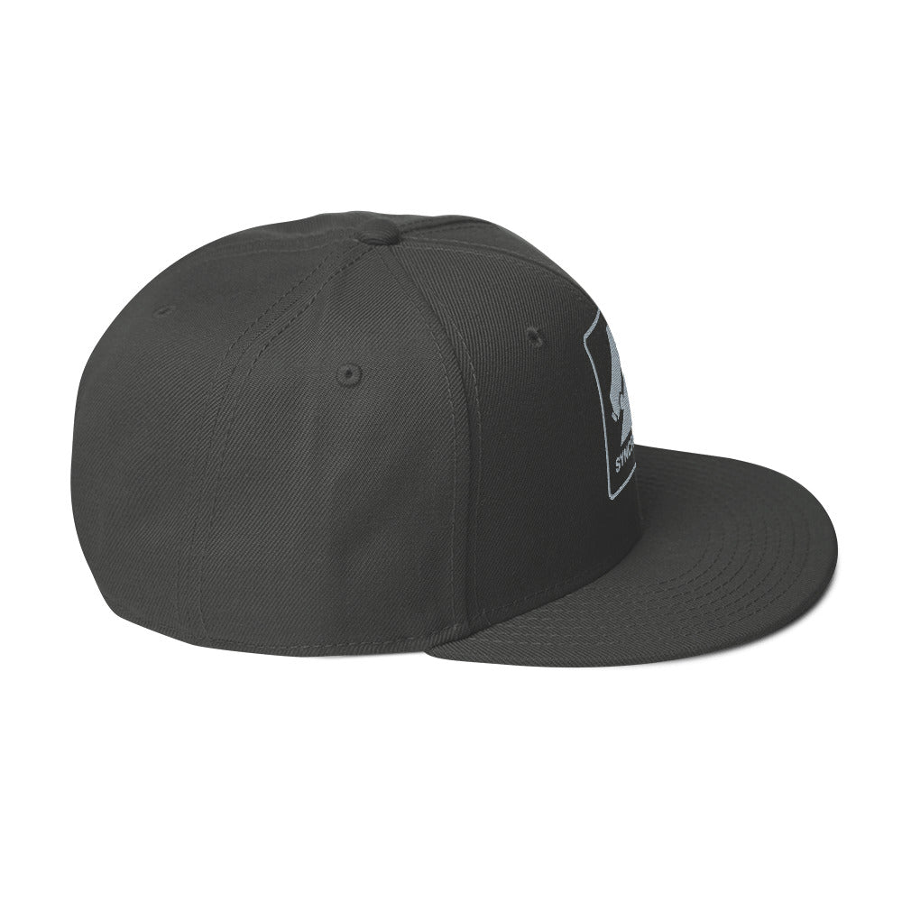 Syncro Only Snapback Hat - OVERLANDERS Outfitter