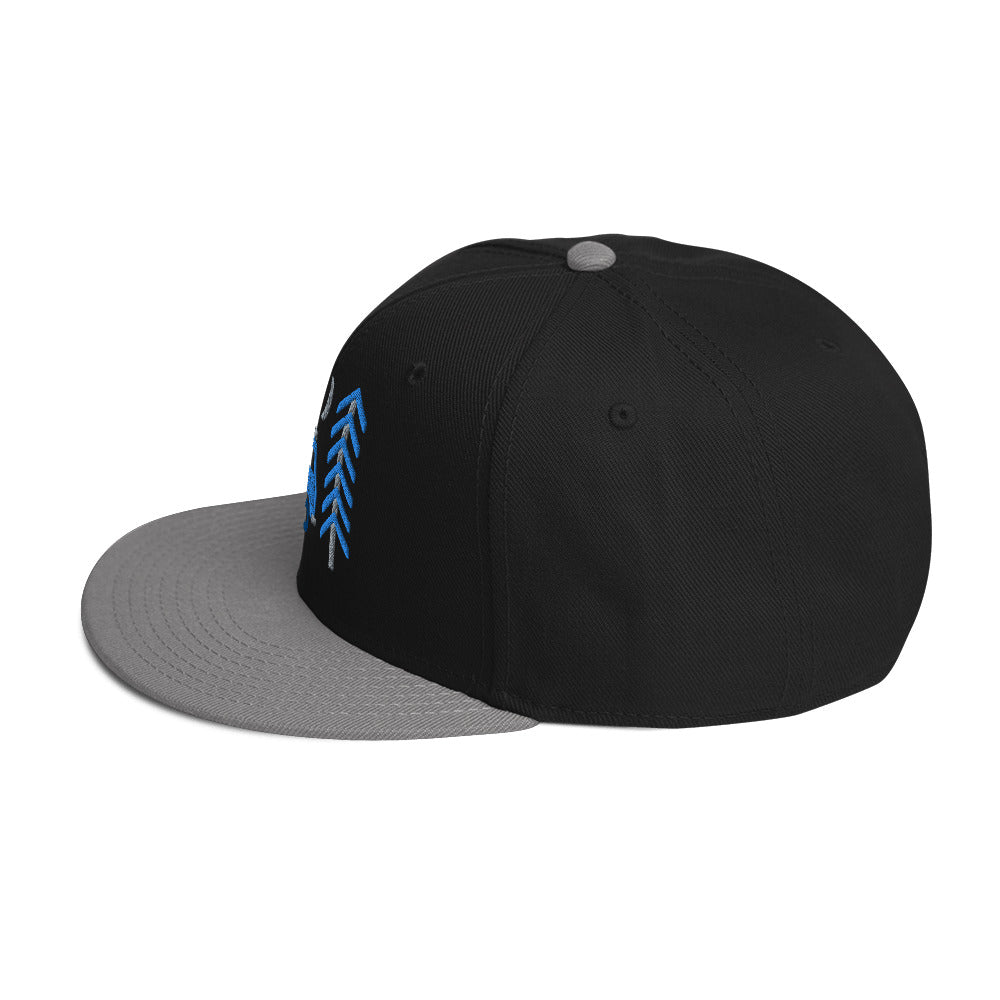 Go Outside Van & Moon Snapback Hat - OVERLANDERS Outfitter