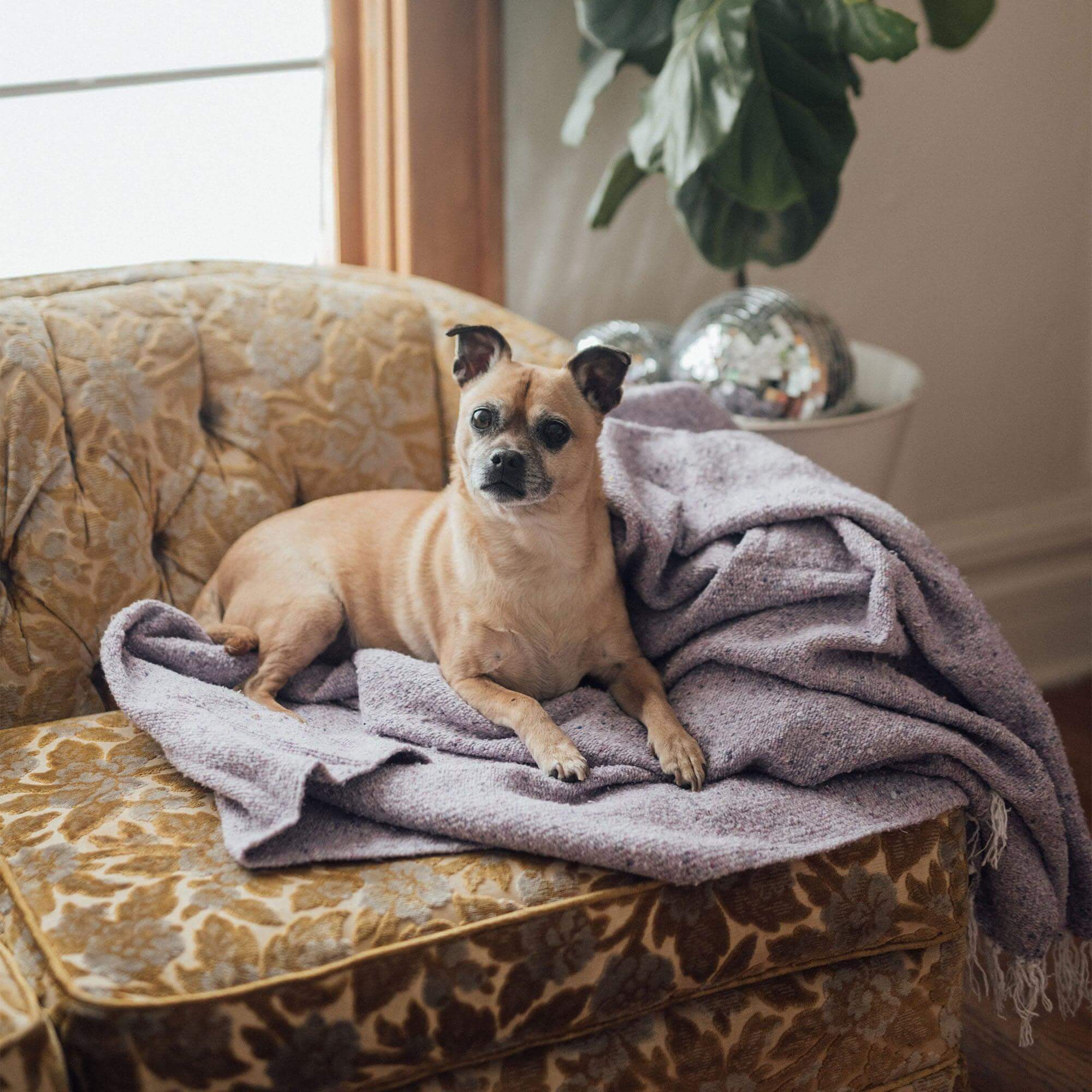 Sonoma Blanket - OVERLANDERS Outfitter